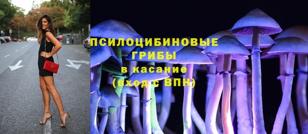 метамфетамин Богданович